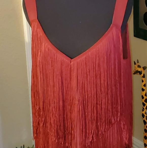 Shimmy, Shimmy! - Picture 4 of 4